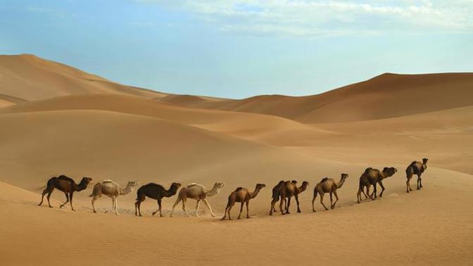 How do you feel about Deserts?