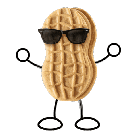 What are your favorite cookies 🍪 ?