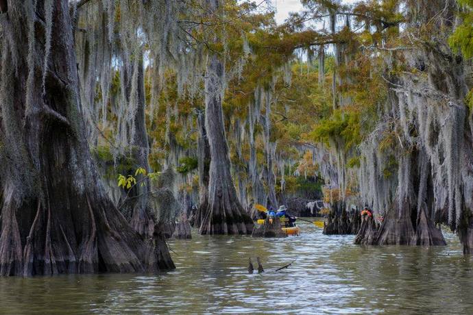 How do you feel about Swamps?