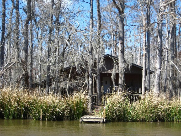 How do you feel about Swamps?