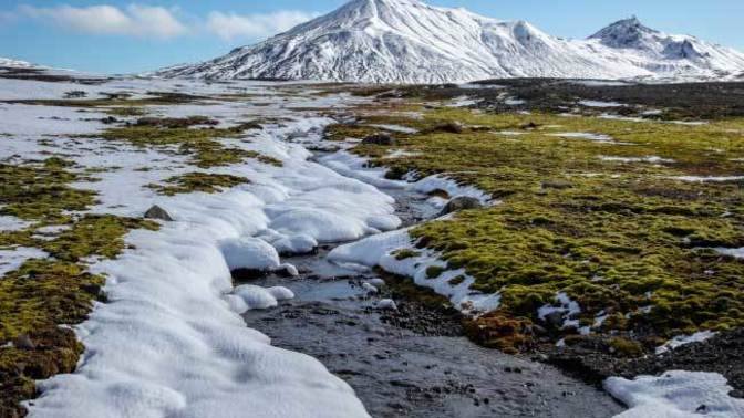 How do you feel about Tundras (the terrain)?