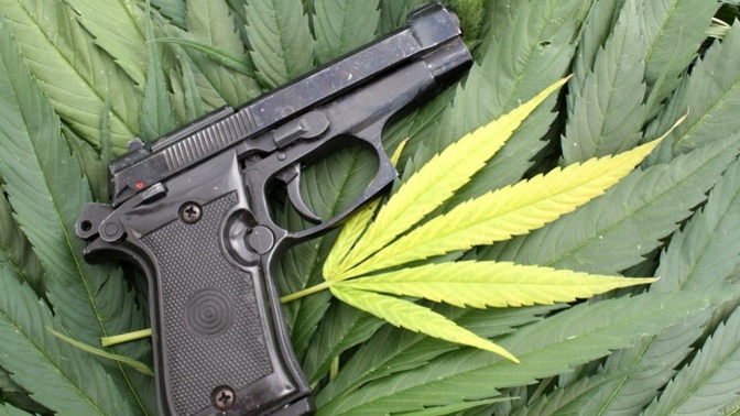 Do you think recreational marijuana smokers and other controlled substance drug users should legally be allowed to carry, possess, and own firearms?