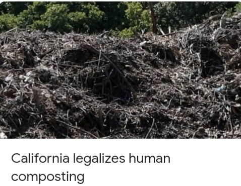 What do you thinki of this article?