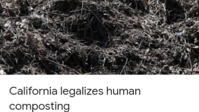What do you thinki of this article?