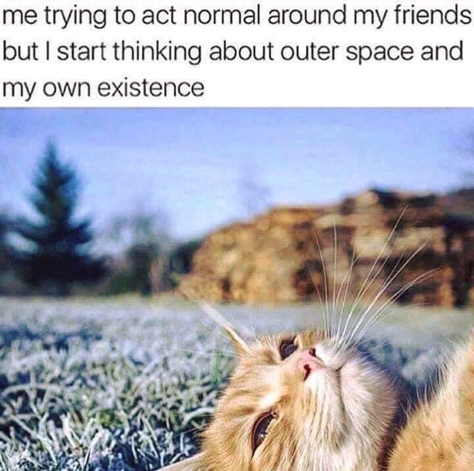 Do you ever have Existential Crisis’s?