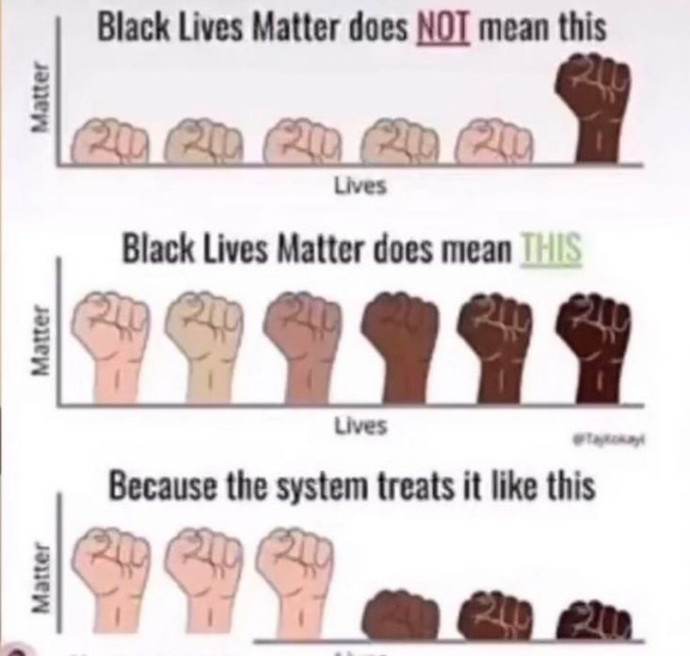 Do you support BLM? if not then why? (I’m js curious)?