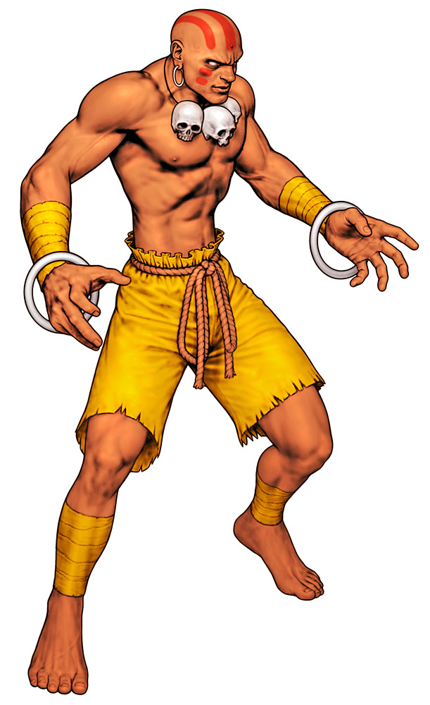 Which of these Street Fighter characters do you think is the most stereotypical of the country they are from?