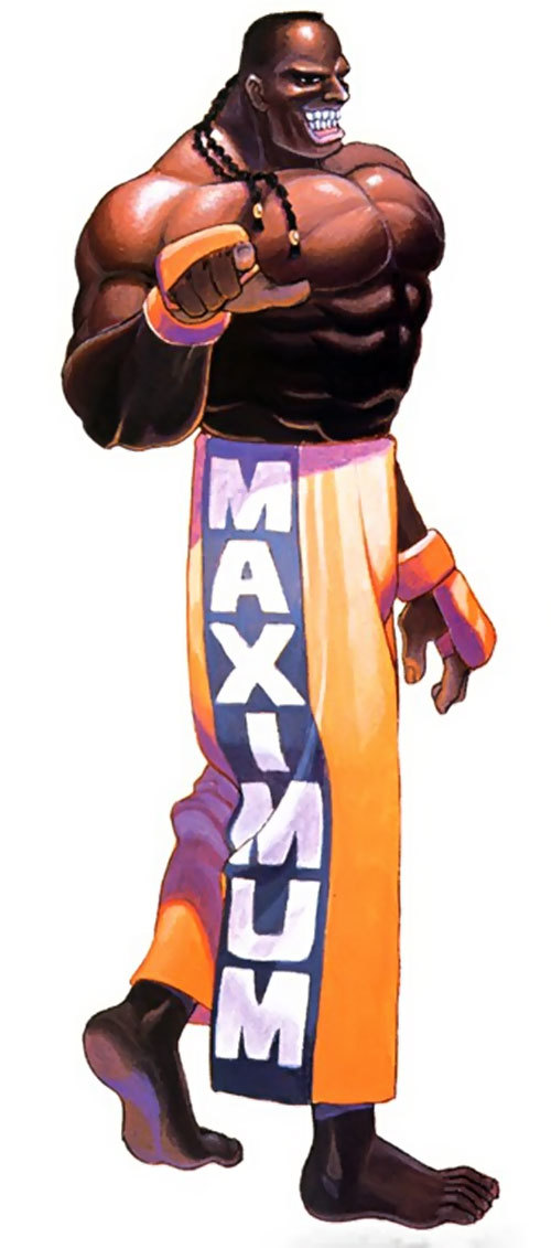 Which of these Street Fighter characters do you think is the most stereotypical of the country they are from?