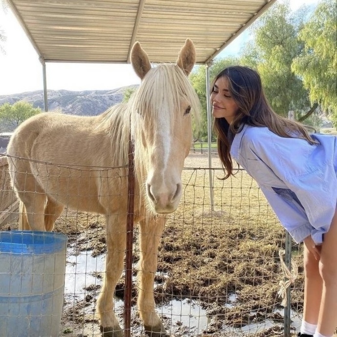 Who is more beautiful?