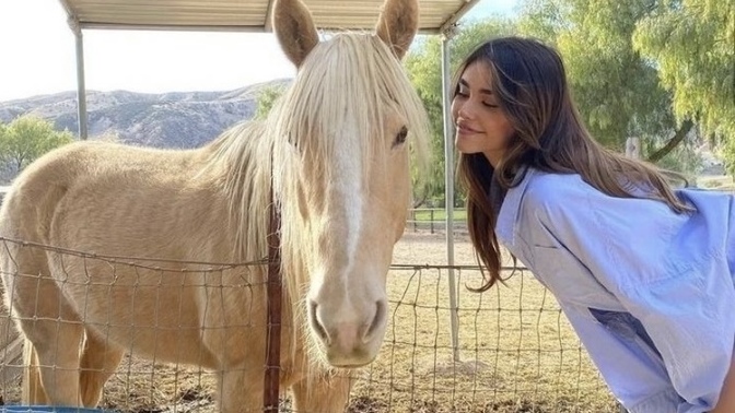 Who is more beautiful?