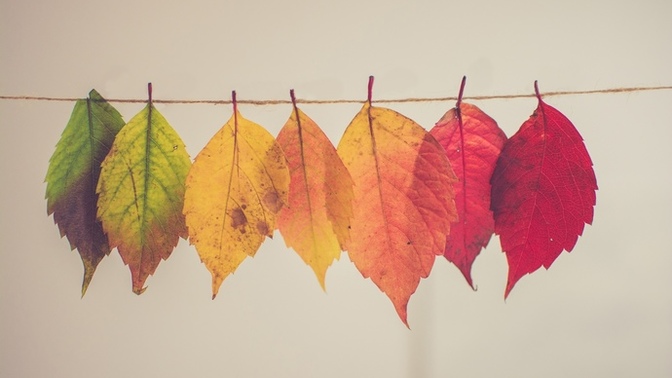Do your outfit choices change with the seasons now that summer is gone and it’s fall time?