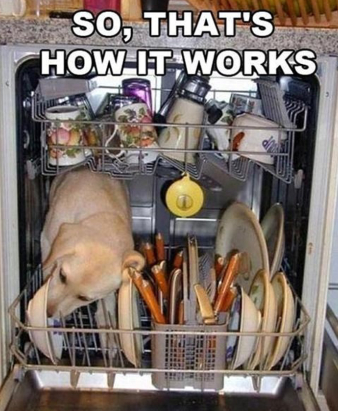 In Addition To Glassware, Silverware & Dishes What Else Do You Put In Your Dishwasher?