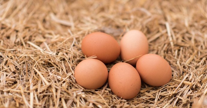 Which came first the chicken or the egg?