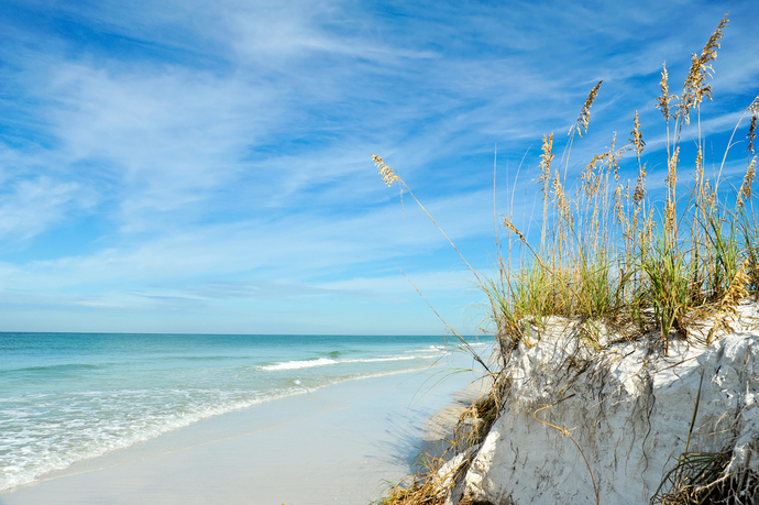 Would you rather live on the Florida or North California coast ?