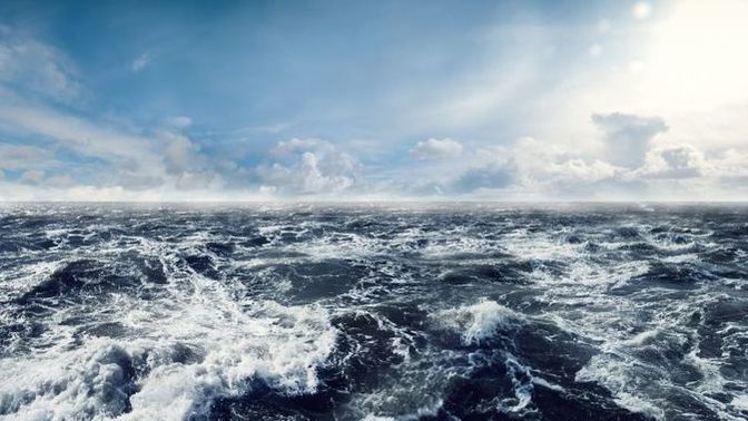 Would you rather live on the Florida or North California coast?