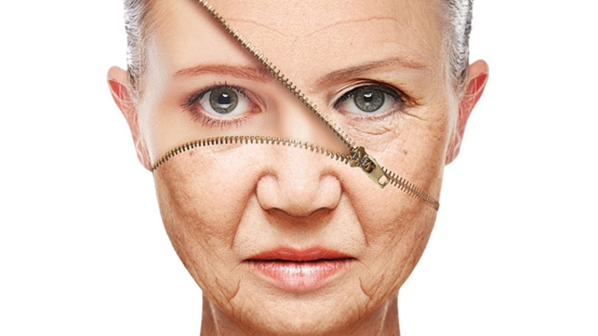 Would you rather be able to change your appearance any way you want or stop yourself from aging?