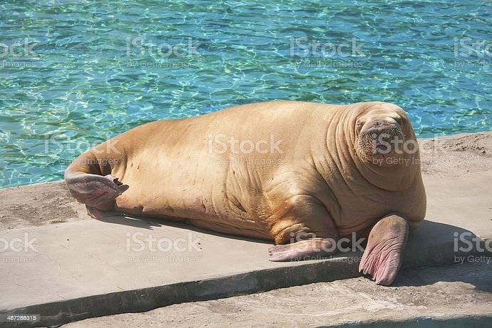 Are you aware of bots on social media?