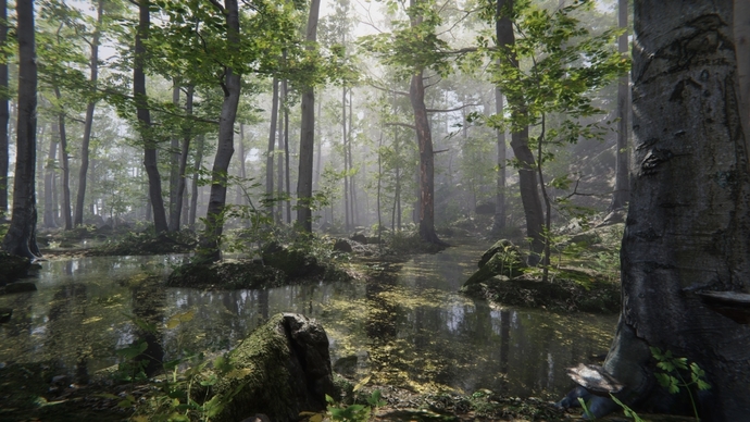 How do you feel about Forests?
