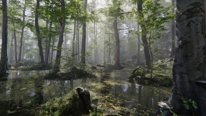 How do you feel about Forests?