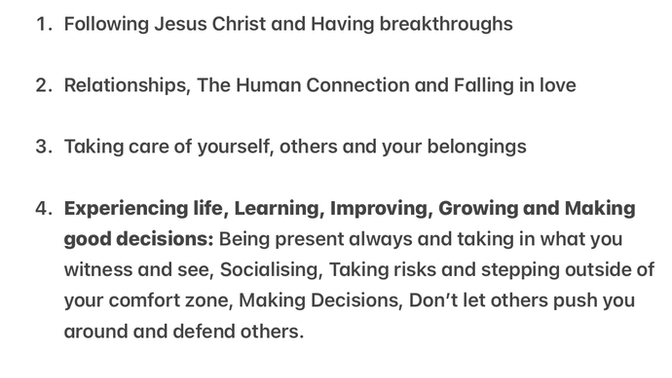 Is this every single thing a human should focus on in life to be explained in the most simplistic way?