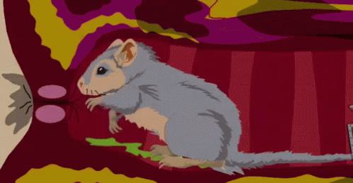 Girls, if a guy said to you the best part of waking up is gerbil in your butt, how would you feel?