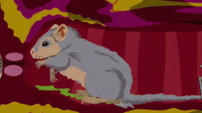 Girls, if a guy said to you "the best part of waking up is gerbil in your butt", how would you feel?