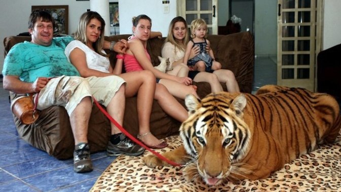 If you could tame any wild animal and keep it as a pet, what animal would you tame?