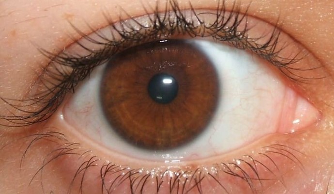 Most attractive brown eye shade?