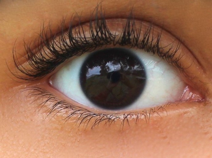 Most attractive brown eye shade?