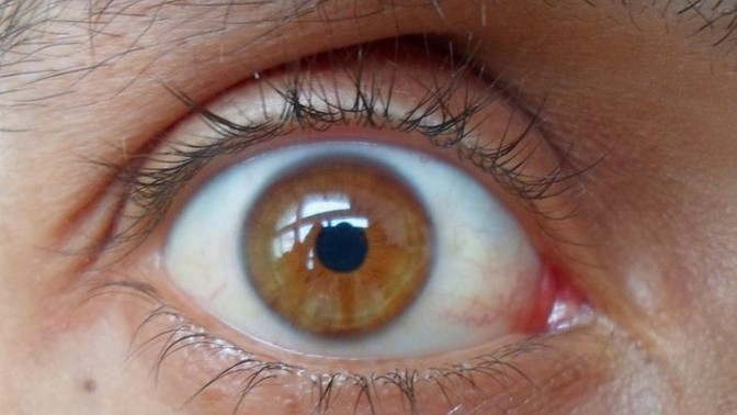 What is the most attractive brown eye shade?