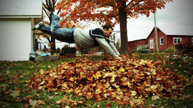 Who is ready to jump in giant piles of leaves?