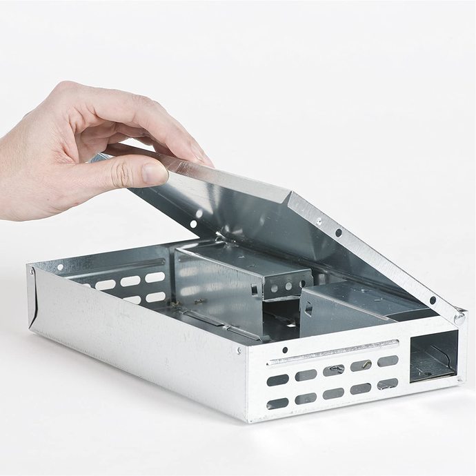 What's your method to get rid of mice in your home?