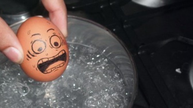 Do you know how to boil an egg without using the Internet?