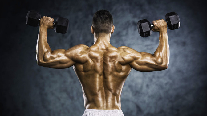 What are the Best Back Exercises with Dumbbells?
