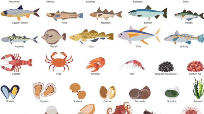 What is your favorite seafood?