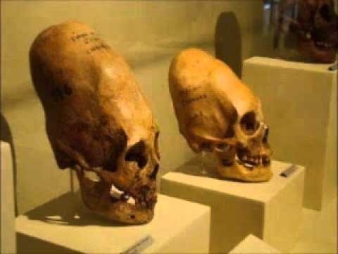 What is the dumbest conspiracy theory you've heard?