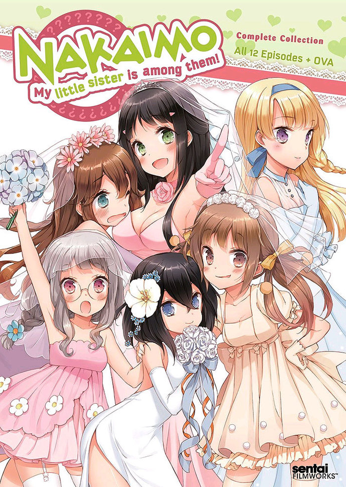 Does anyone else enjoy Anime? Which Anime books or films have/do you watch?