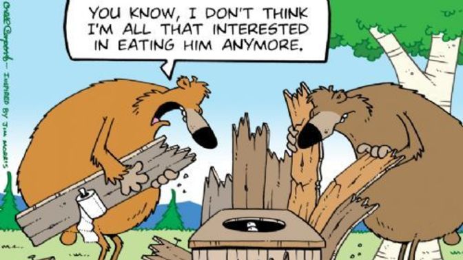 Did you know, when being attacked by bears, hiding in a outhouse is more effective then playing dead?