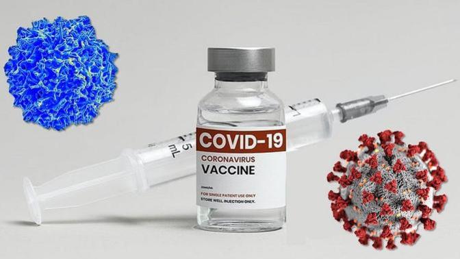 How many doses of a COVID-19 vaccine have you received, if any?