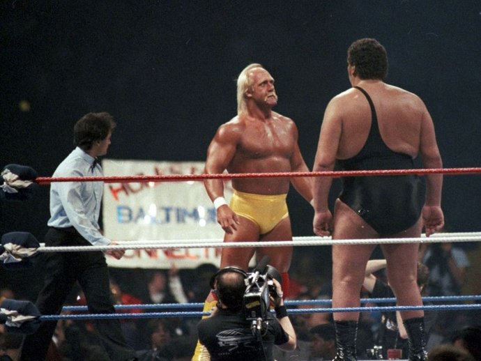 Do YOU ever wish your partner or crush would look at you the way Andre the Giant looks at Hulk Hogan?