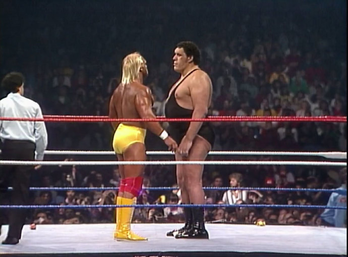 Do YOU ever wish your partner or crush would look at you the way Andre the Giant looks at Hulk Hogan?