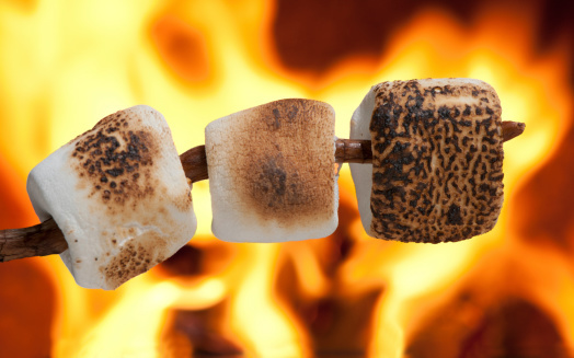 Pepsis Smores Soda, which would/have you try/tried?