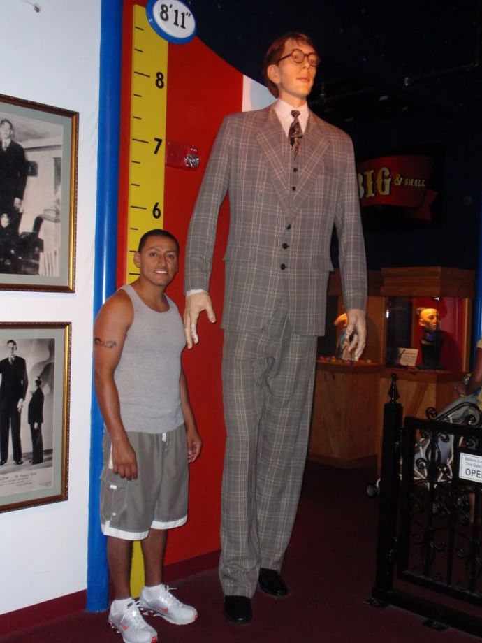 Girls, would you date an extremely tall man - or even consider marrying one?