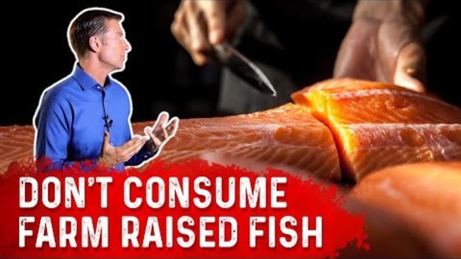 Do you eat Wild-caught or Farm-raised fish?