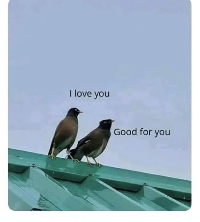 Ouch đŁ