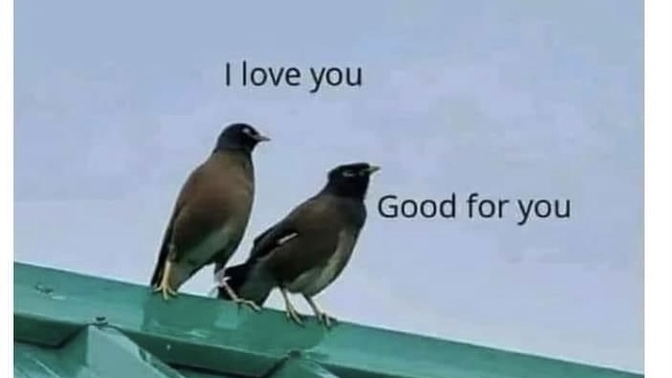 When someone says they like you or they love you, but you don’t feel the same. How do you respond or what do you say?