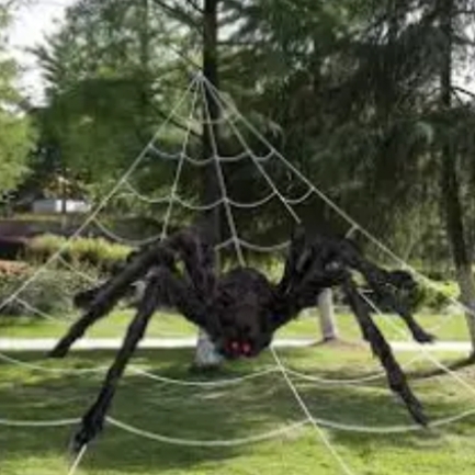 Which Halloween decoration looks best  to you ?