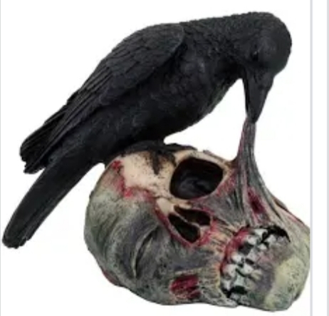Which Halloween decoration looks best  to you ?