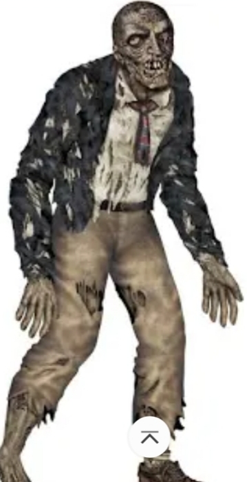 Which Halloween decoration looks best to you?