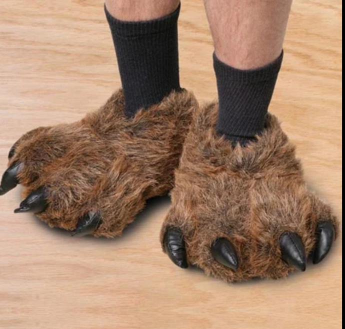 What kind of slippers do you wear?